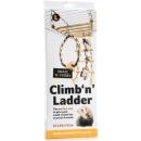 Climb 